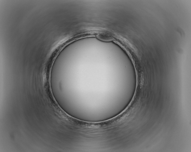 X0000112931261200908241046