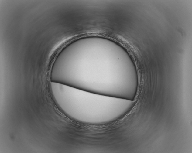 X0000112931262200908241046