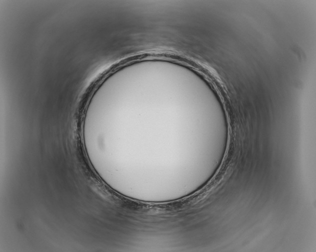 X0000112931263200908241046