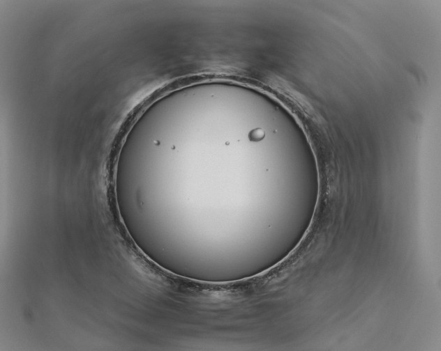 X0000112931264200908241046