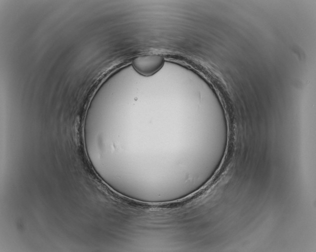 X0000112931265200908241046