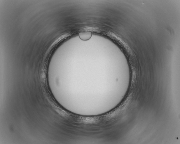 X0000112931266200908241046