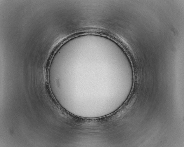 X0000112931267200908241045