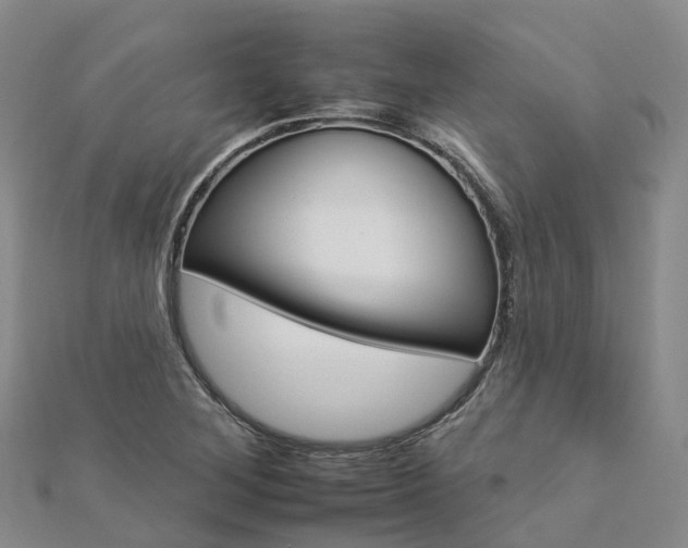 X0000112931268200908241045