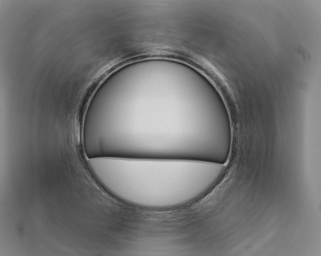 X0000112931269200908241045