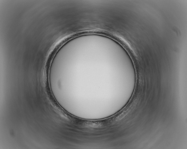 X0000112931270200908241045