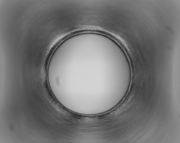 X0000112931271200908241045