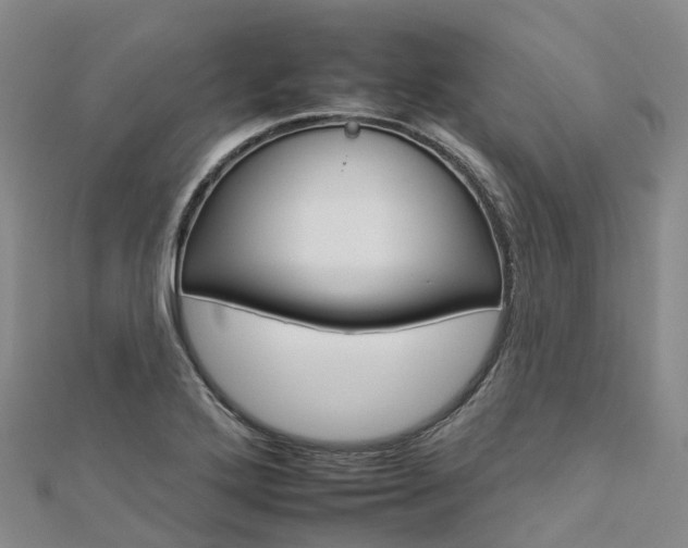 X0000112931272200908241045