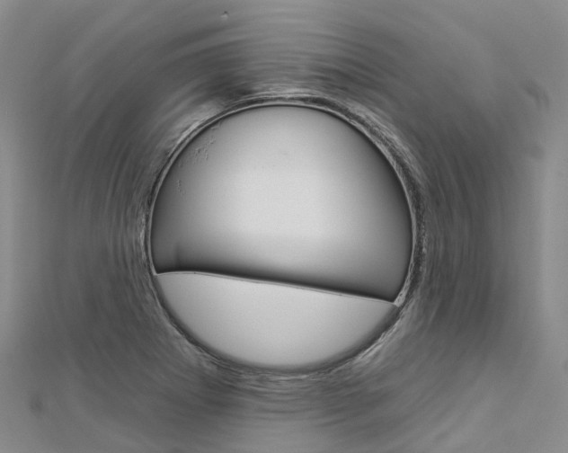 X0000112931273200908241045