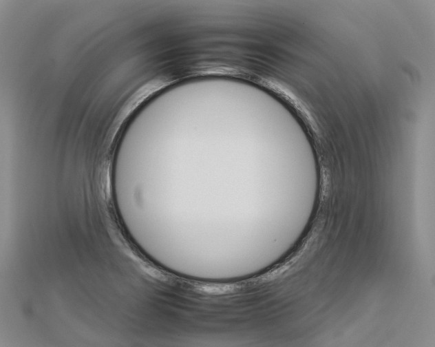 X0000112931274200908241045