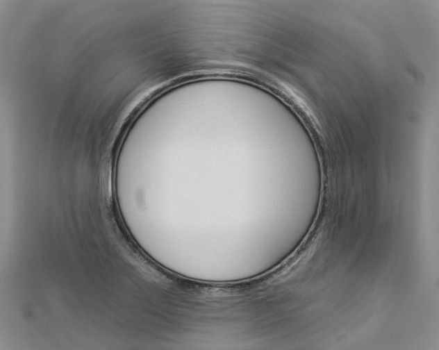 X0000112931275200908241045