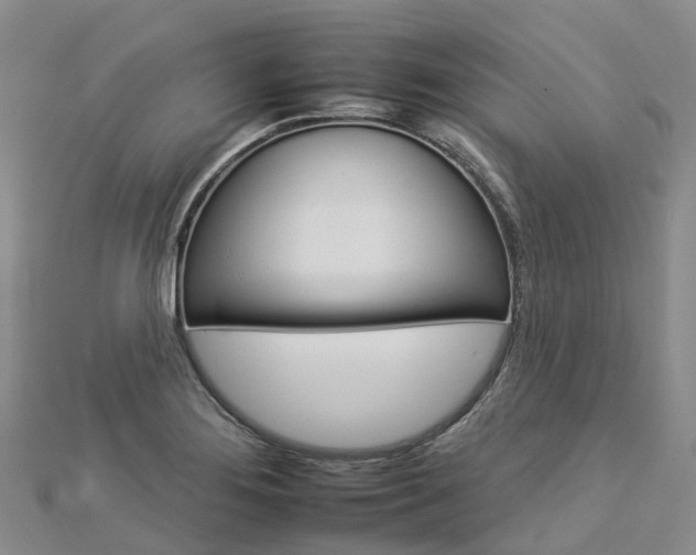 X0000112931276200908241045