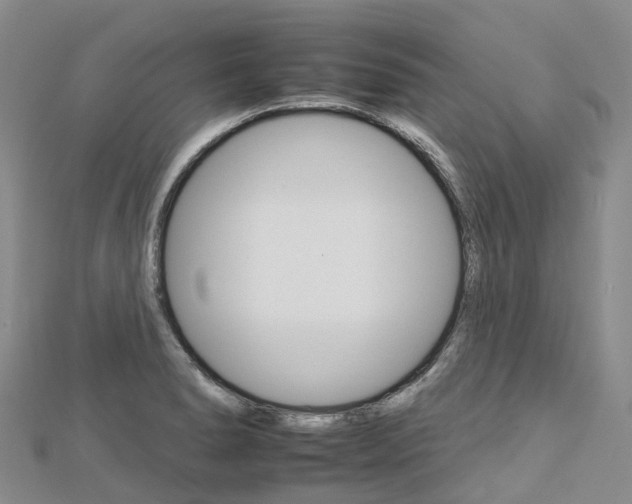 X0000112931278200908241045