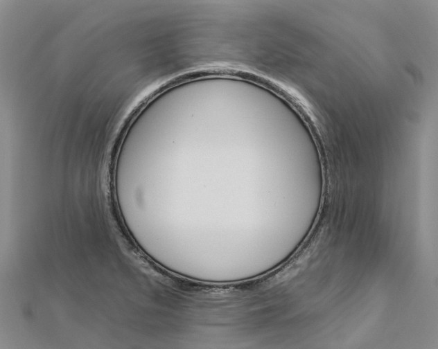X0000112931279200908241045