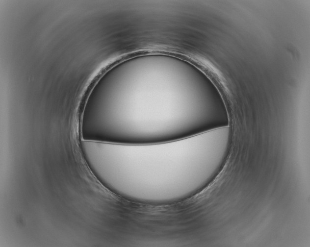 X0000112931280200908241045