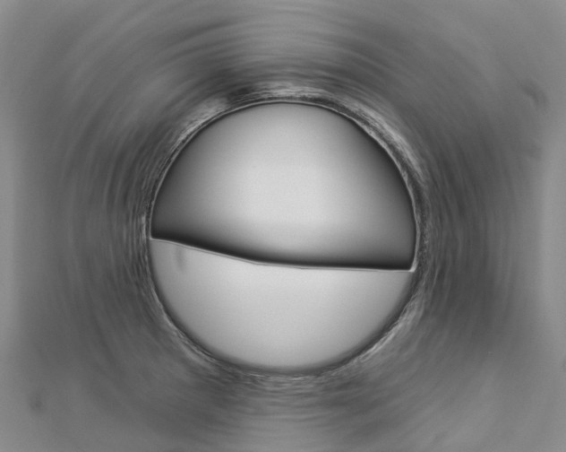 X0000112931281200908241045