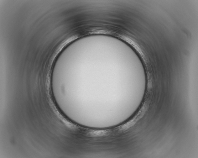 X0000112931282200908241045