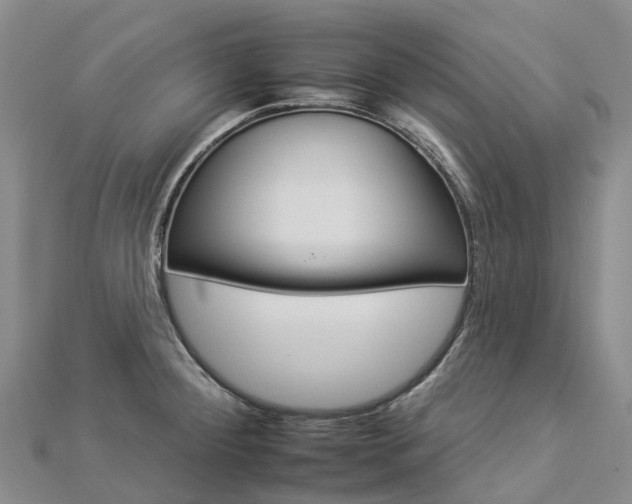 X0000112931284200908241045
