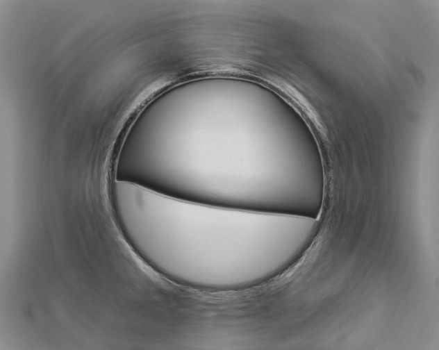 X0000112931285200908241045