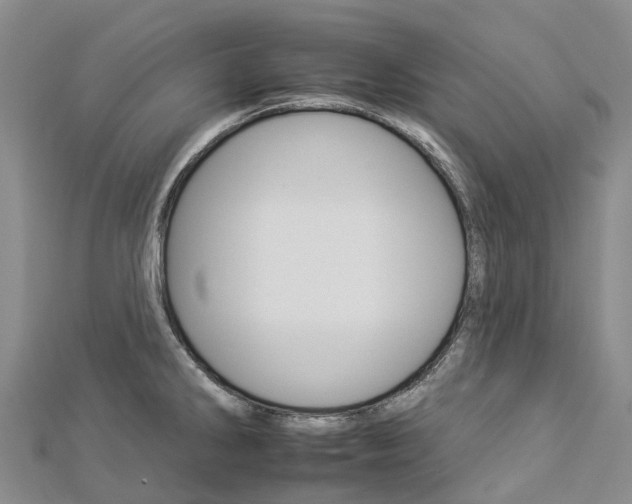 X0000112931286200908241045