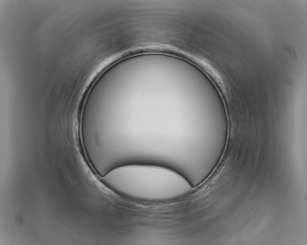 X0000112931287200908241045