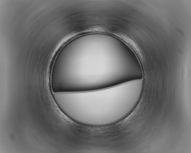 X0000112931288200908241045
