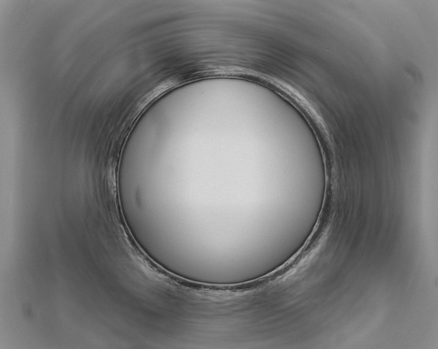 X0000112931289200908241045