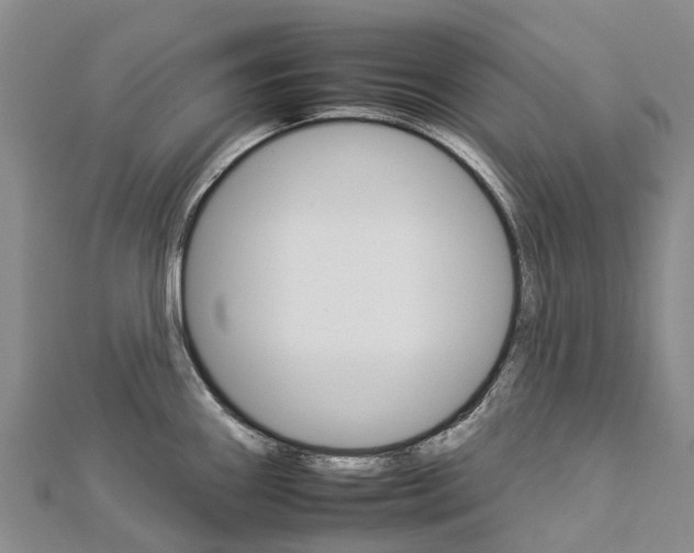 X0000112931290200908241045