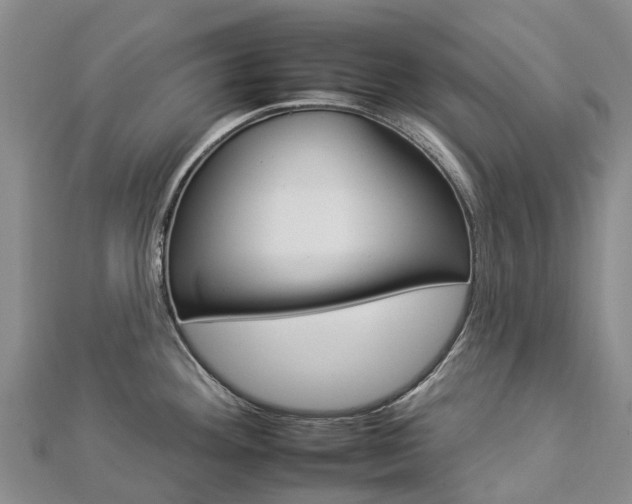 X0000112931292200908241045