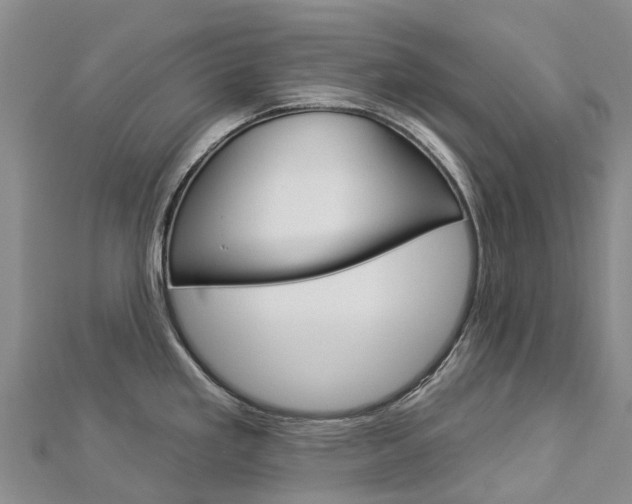X0000112931293200908241045