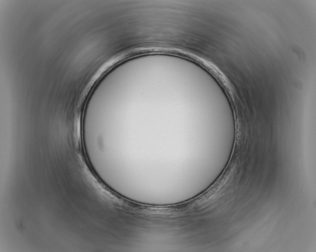 X0000112931295200908241045