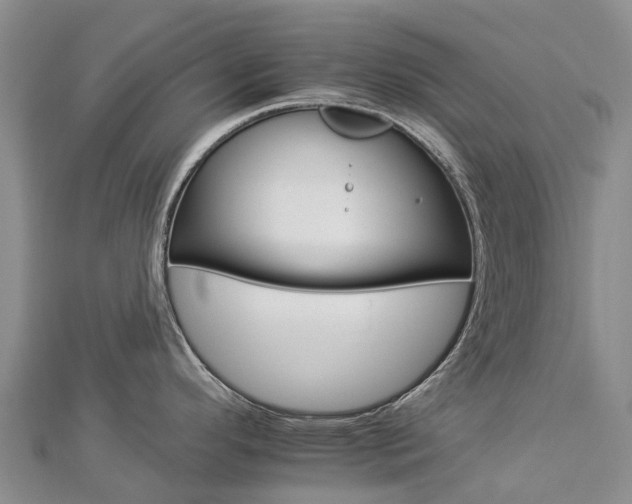 X0000112931296200908241045