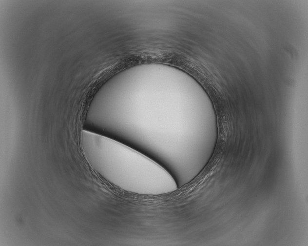 X0000112931297200908241045
