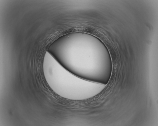 X0000112931298200908241045