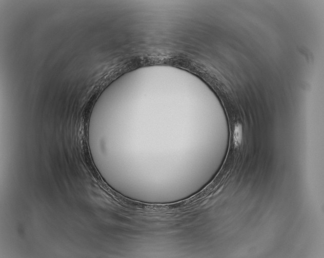 X0000112931299200908241045