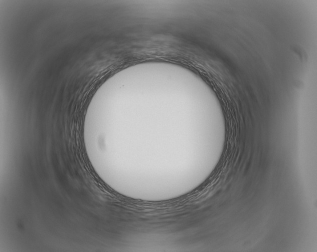 X0000112931300200908241045
