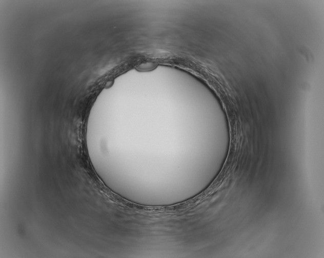 X0000112931301200908241045
