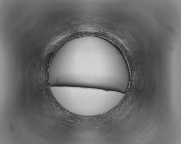 X0000112931303200908241045