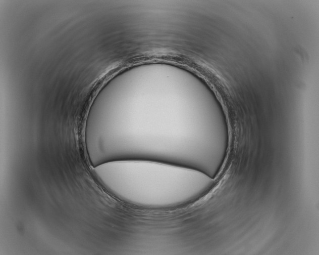 X0000112931305200908241045