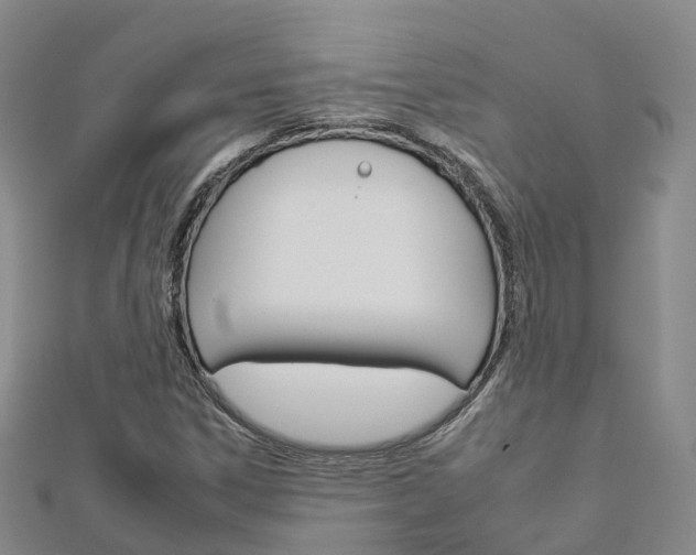 X0000112931306200908241045