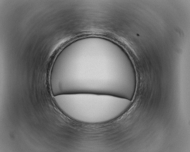 X0000112931307200908241045