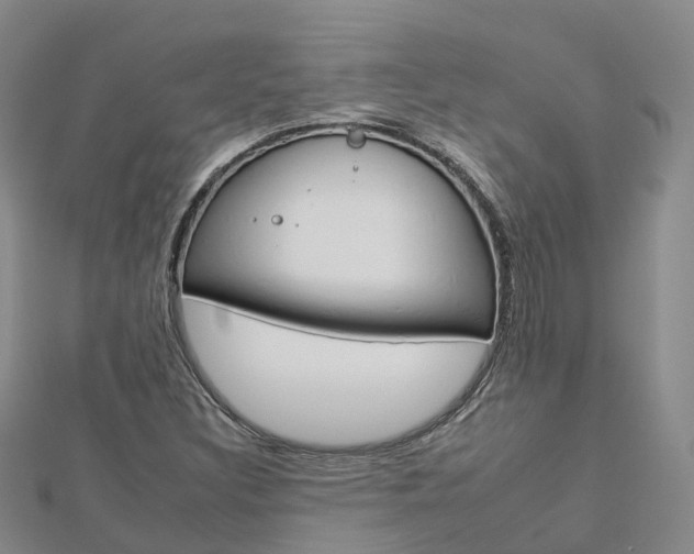 X0000112931308200908241045