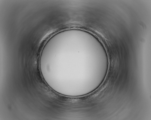 X0000112931309200908241045