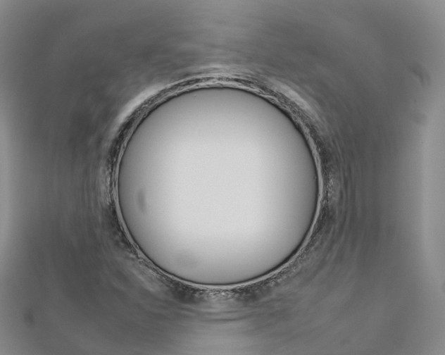 X0000112931310200908241045