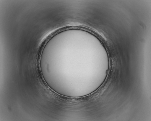 X0000112931311200908241045