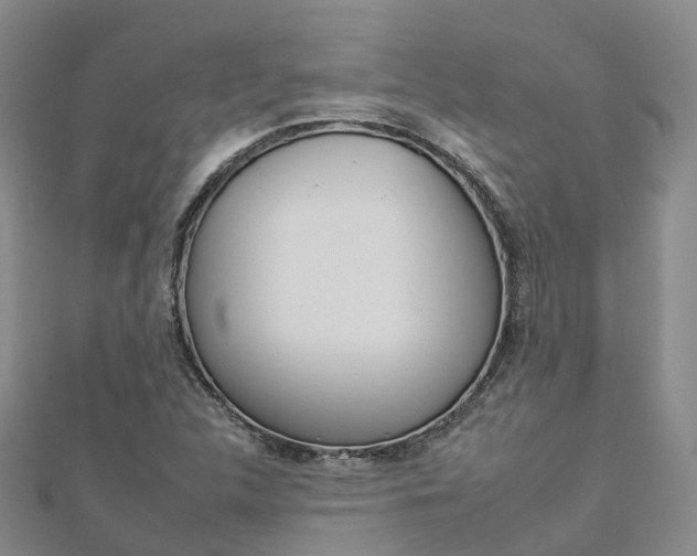 X0000112931312200908241045