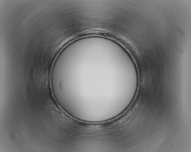 X0000112931313200908241045