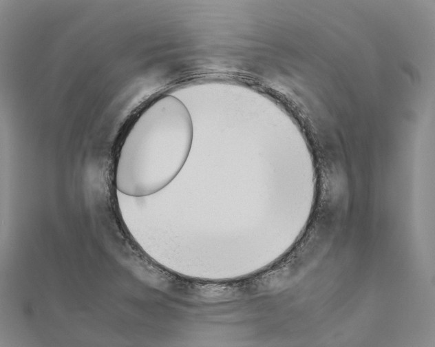X0000112931314200908241045