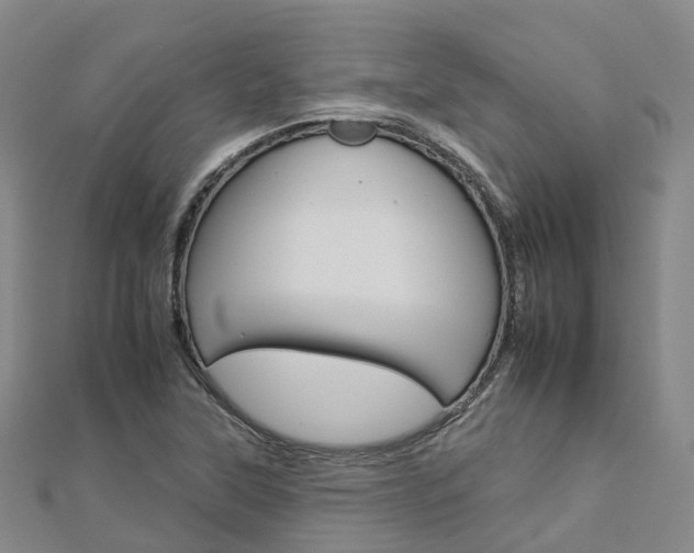 X0000112931315200908241045