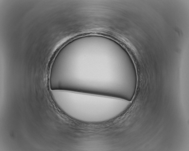X0000112931316200908241045